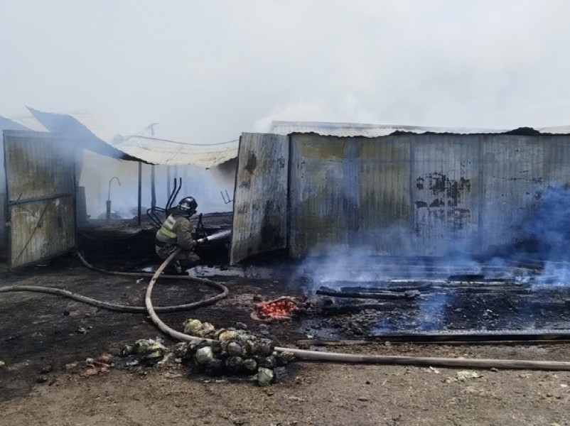 В Кинельском районе горели надворные постройки, погибли домашние животные