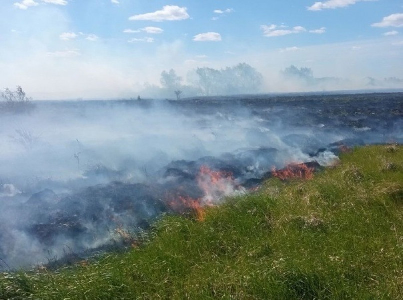 В Кинель-Черкасском районе горела трава на 400 кв. метрах