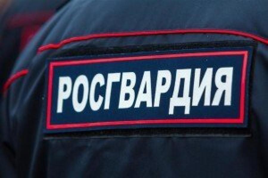 Росгвардейцы в Сызрани задержали мужчину, попавшего в  ДТП на угнанном автомобиле
