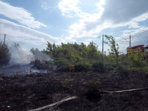 В Кинельском районе горела трава на площади 800 квадратных метров