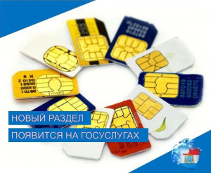 На Госуслугах появится новый раздел с SIM-картами