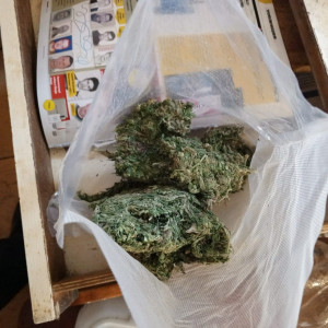 Сызранец хранил дома пакеты с марихуаной