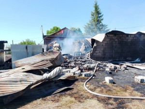 На пожаре в селе Александровка Большеглушицкого района пострадал человек