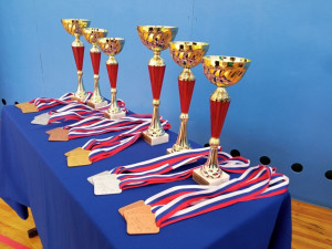 В соревнованиях приняли участие команды из 15 сельских районов Самарской области.