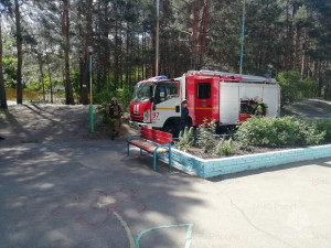 Проводимые тренировки по эвакуации позволяют проверить готовность объекта летнего отдыха и персонала к действиям в случае возникновения пожара.