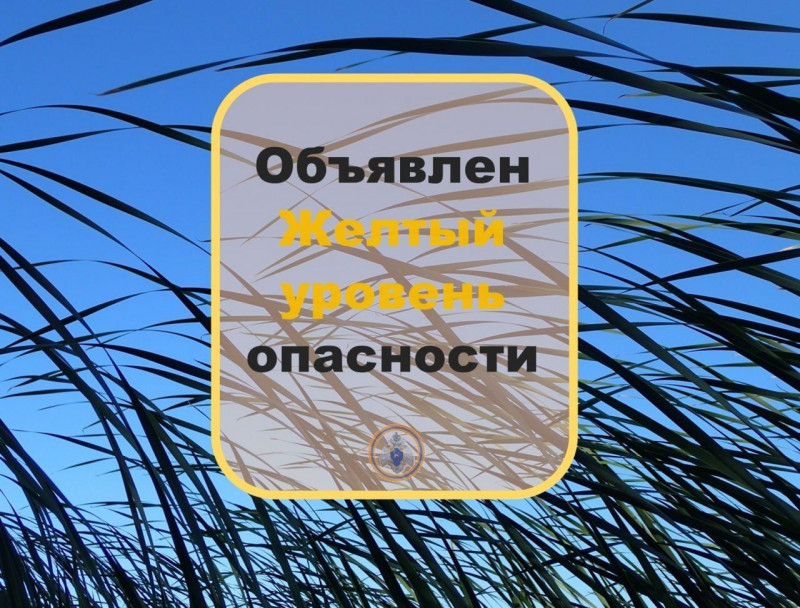 Жителей Самарской области снова предупреждают о сильном ветре