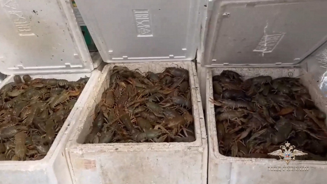 Житель Татарстана задержан в Волжском районе с 800 кг живых речных раков