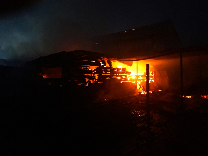 Крупный пожар в Волжском районе: погибли домашние животные