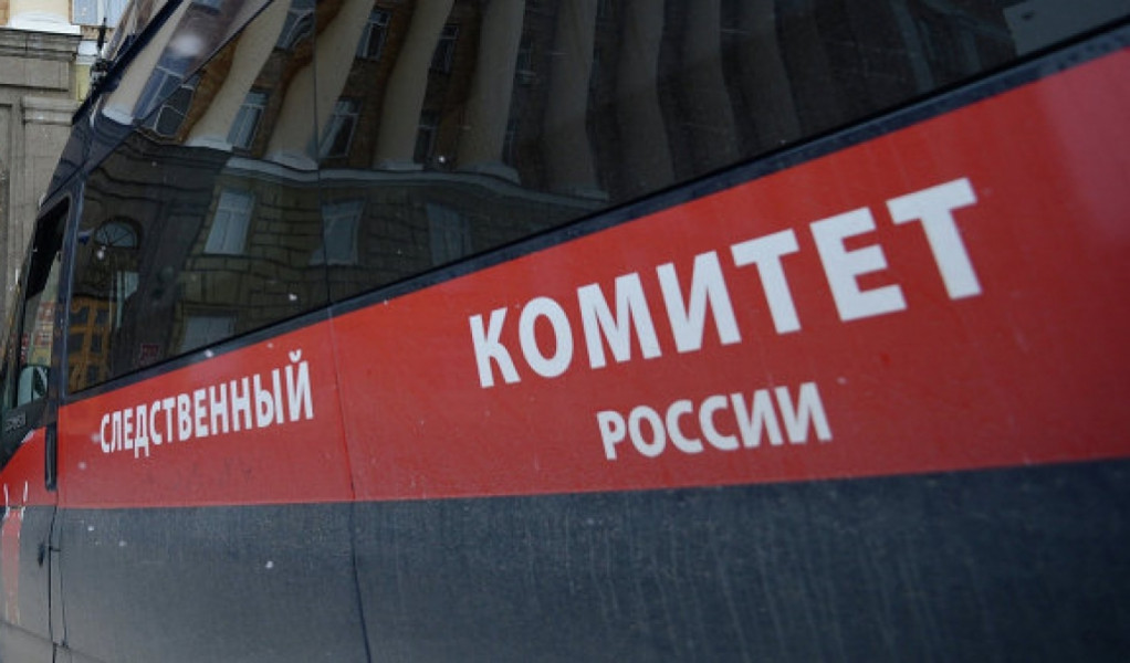 Гендиректор частной геолого-разведочной компании из Москвы насмерть сбил 13-летнюю школьницу