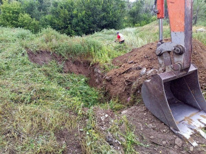 В Чапаевске сожгли два очага конопли