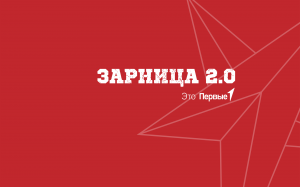 В Приволжском федеральном округе определили финалистов Игры Движения Первых «Зарница 2.0»