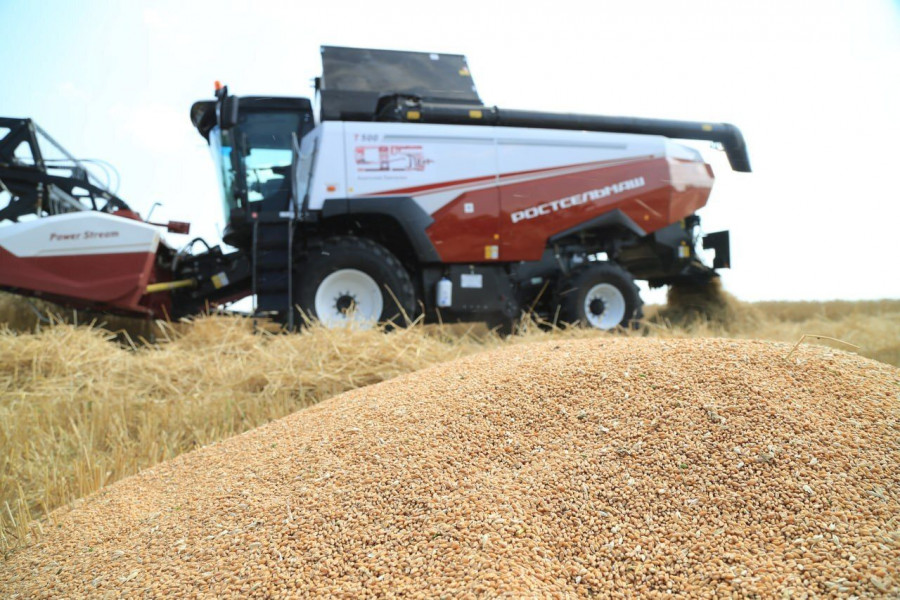 Аграрии губернии собрали первый миллион тонн зерна