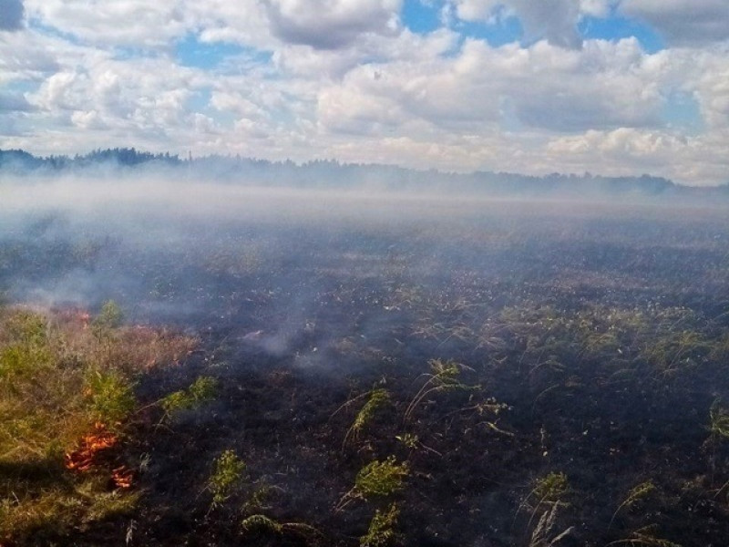Огонь охватил 400 квадратных метров травы в Хворостянском районе