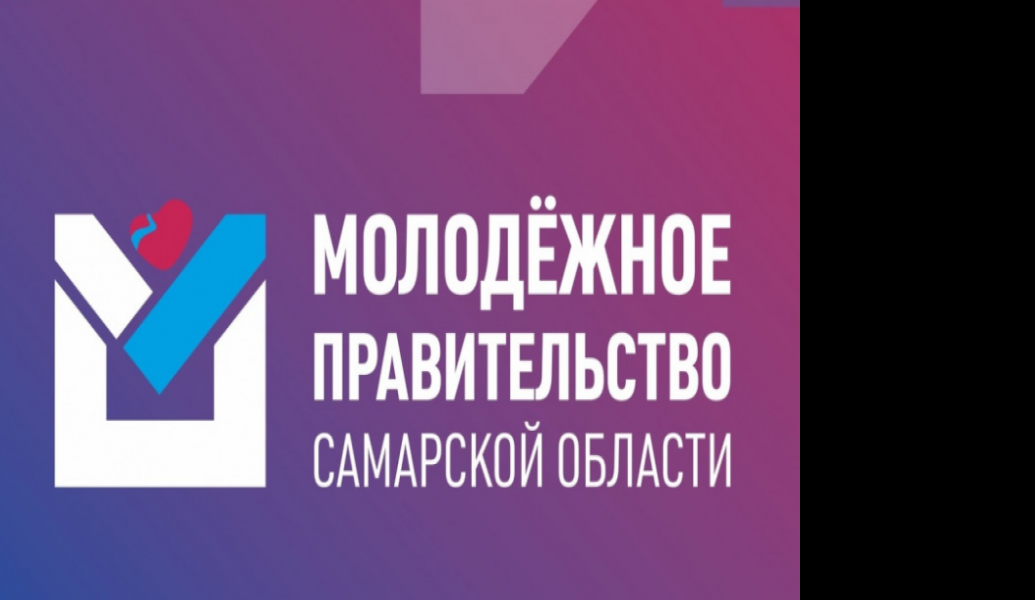 В регионе объявлен конкурсный отбор на включение в состав молодежного правительства Самарской области