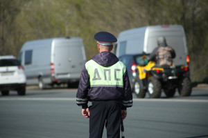 В Самарской области за выходные выявлено 31 правонарушение со стороны пешеходов