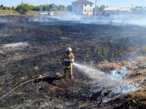 Двести квадратных метров сухой травы горели вчера в селе Хворостянка