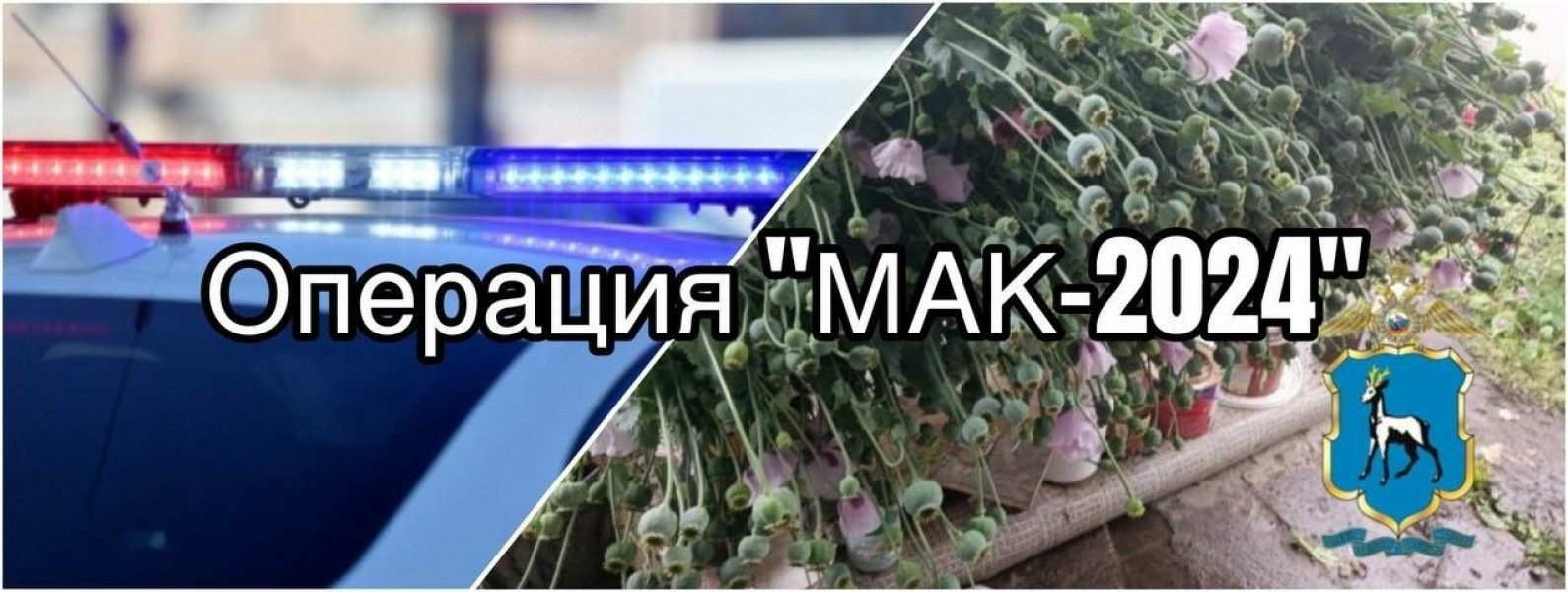 В Самарской области подведены итоги оперативно-профилактической операции «Мак-2024»