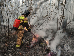 Лесной пожар в Самарской области полыхает третий день