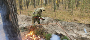 На месте пожара продолжают работу 227 человек, 49 единиц техники, в том числе от МЧС России - 121 человек, 16 единиц техники.