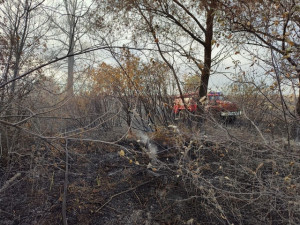 Богатовские огнеборцы два раза за дежурные сутки выезжали на тушение природных пожаров