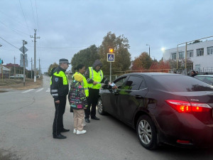 Самарской области госавтоинспекторы напомнили участникам дорожного движения о пользе световозвращающих элементов