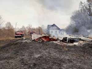 В Елховском лесничестве на площади 120 кв. метров горел деревянный дом