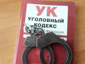 В Самарской области окончено расследование уголовного дела о мошенничестве с использованием «Пушкинских карт»