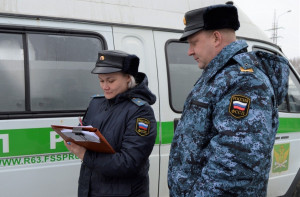 Алиментщик из Самары, задолжавший 1 млн, занимался разведением породистых собак