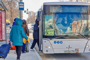 Автобусами дачных маршрутов в этом году воспользовались более 710 тысяч самарцев.