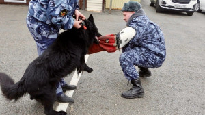 В управлении по конвоированию УФСИН России по Самарской области прошла экскурсия для учеников школы города Самары