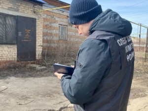 В настоящее время подозреваемый заключен под стражу. 