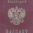 Родители нежелательно пребывающих в РФ детей-иностранцев получат такой же статус