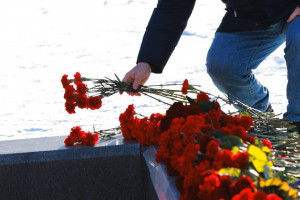 В Самаре возложили цветы к Вечному огню и горельефу «Скорбящей Матери – Родине».