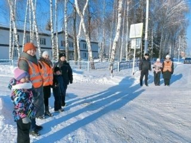 В Чапаевске сотрудники Госавтоинспекции провели на улицах города широкомасштабную акцию «Внимание! Пешеход!»