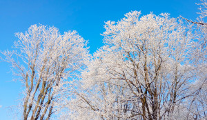 В Самаре ночью -6, -8°С, днем -4, -6°С. На дорогах гололедица, ночью местами снежный накат.